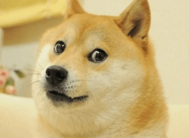 Sàn Huobi niêm yt Dogecoin DOGE give away 10000000 DOGE